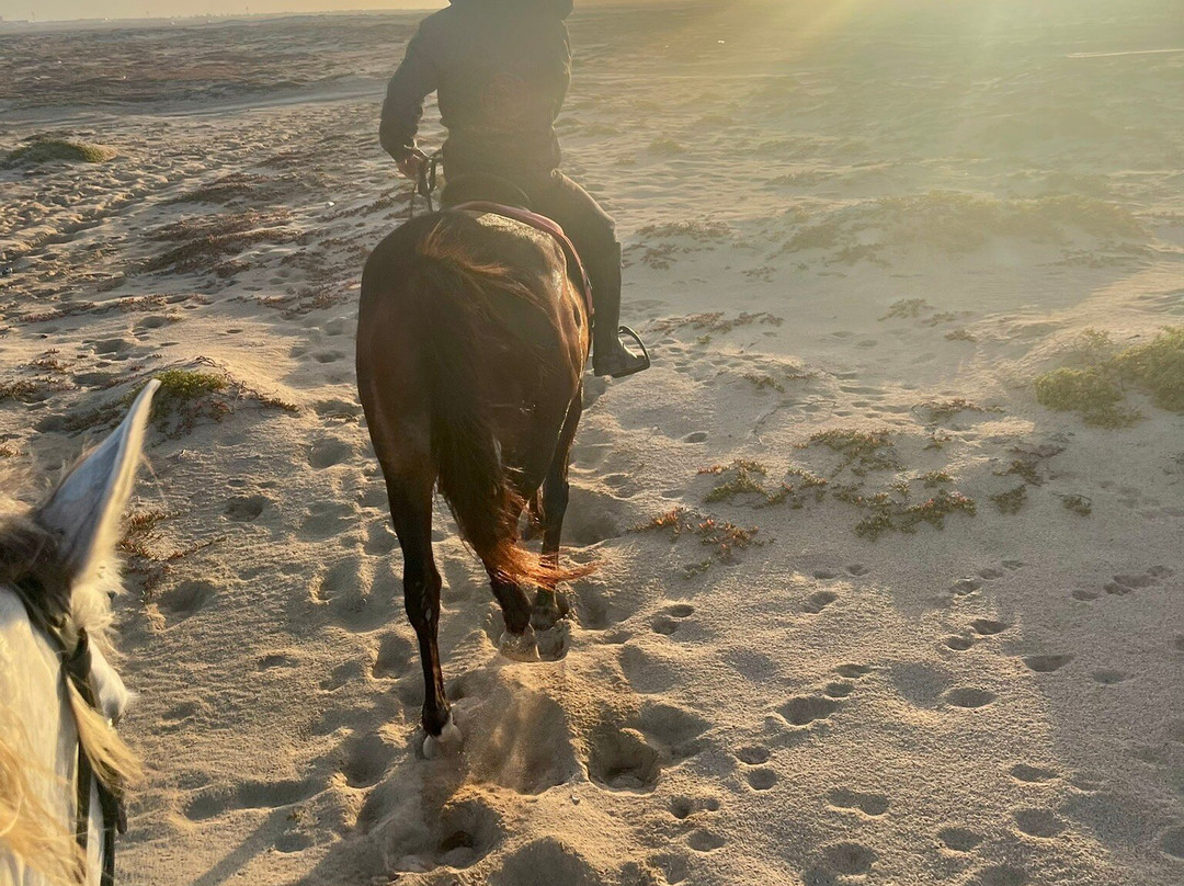 Santa Marilha Horse Excursions景点图片