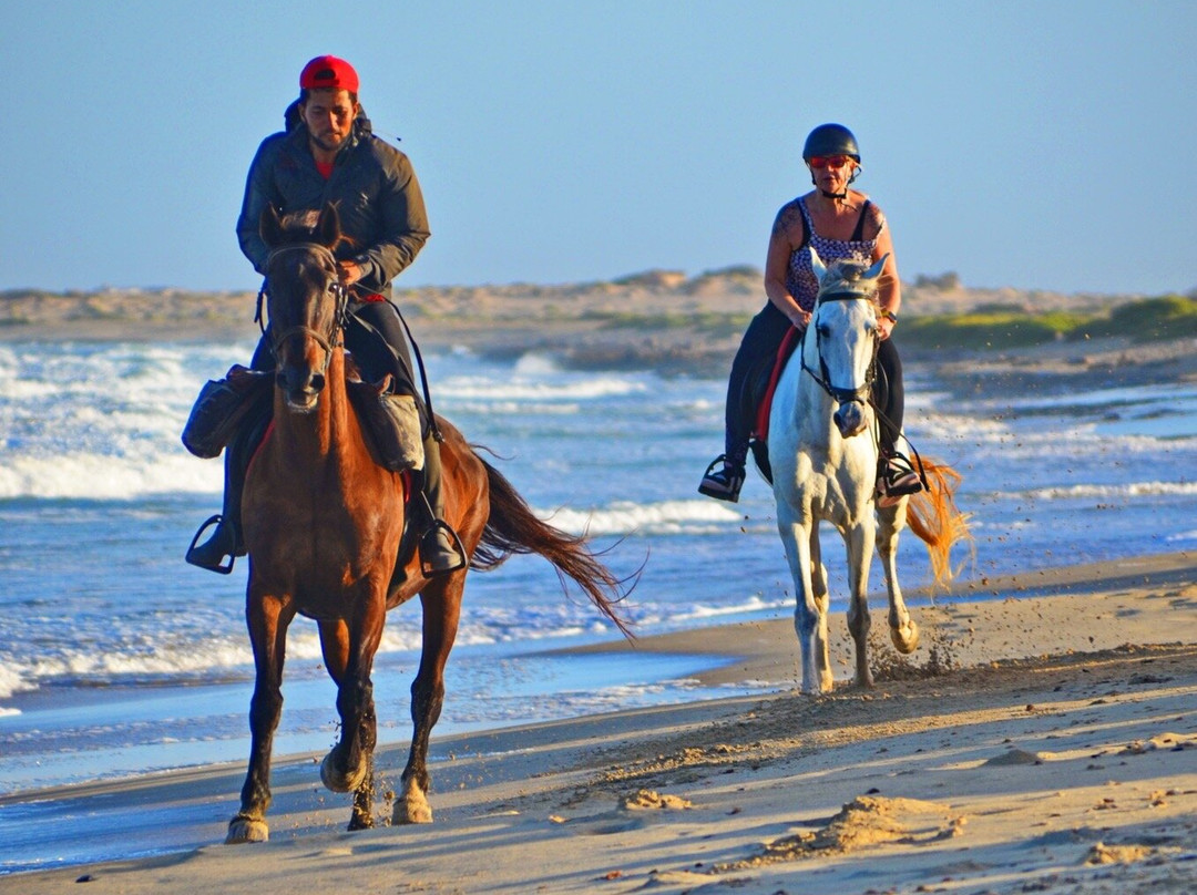 Santa Marilha Horse Excursions景点图片