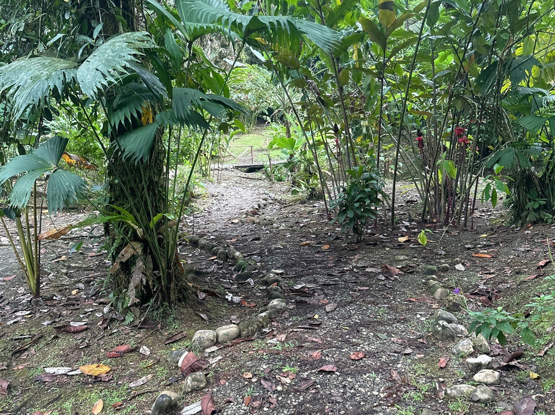 Esquinas Rainforest Lodge主图