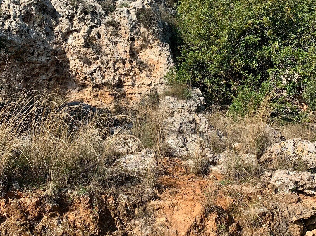 Antalya Hayvanat Bahçesi景点图片