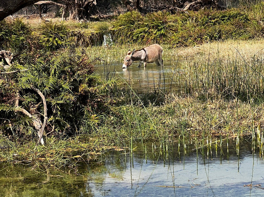 Marhaba Dhofar-塞拉莱必去景点
