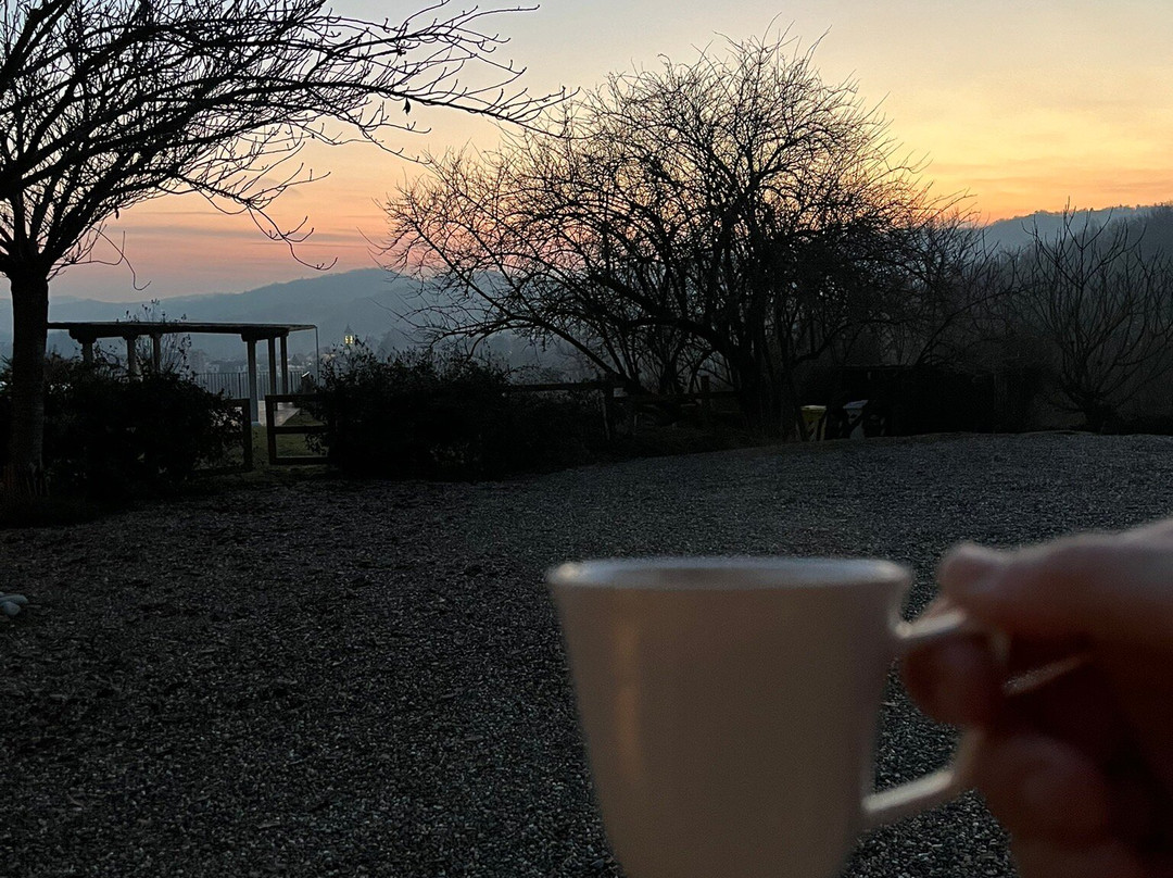 Il Sambuco Innamorato主图