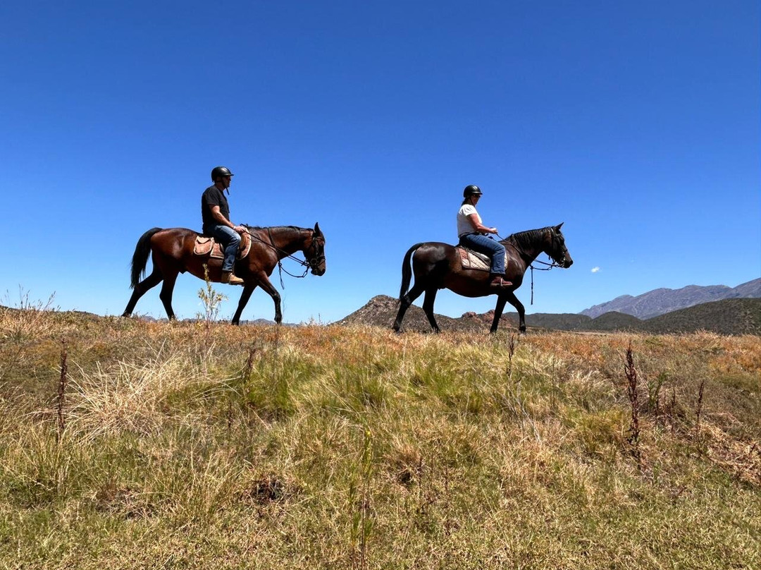 De Rust Horseriding - Klein Karoo Horse Adventures-德鲁必去景点