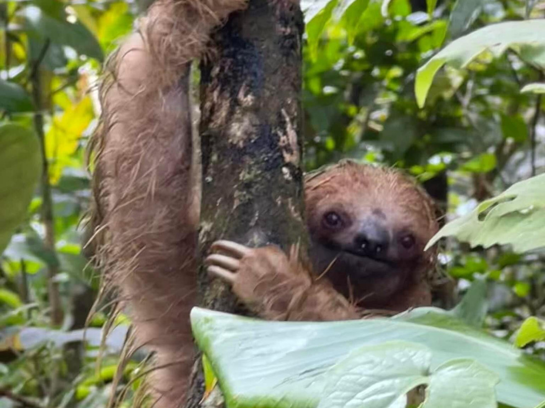 Costa Rica Best Tours景点图片
