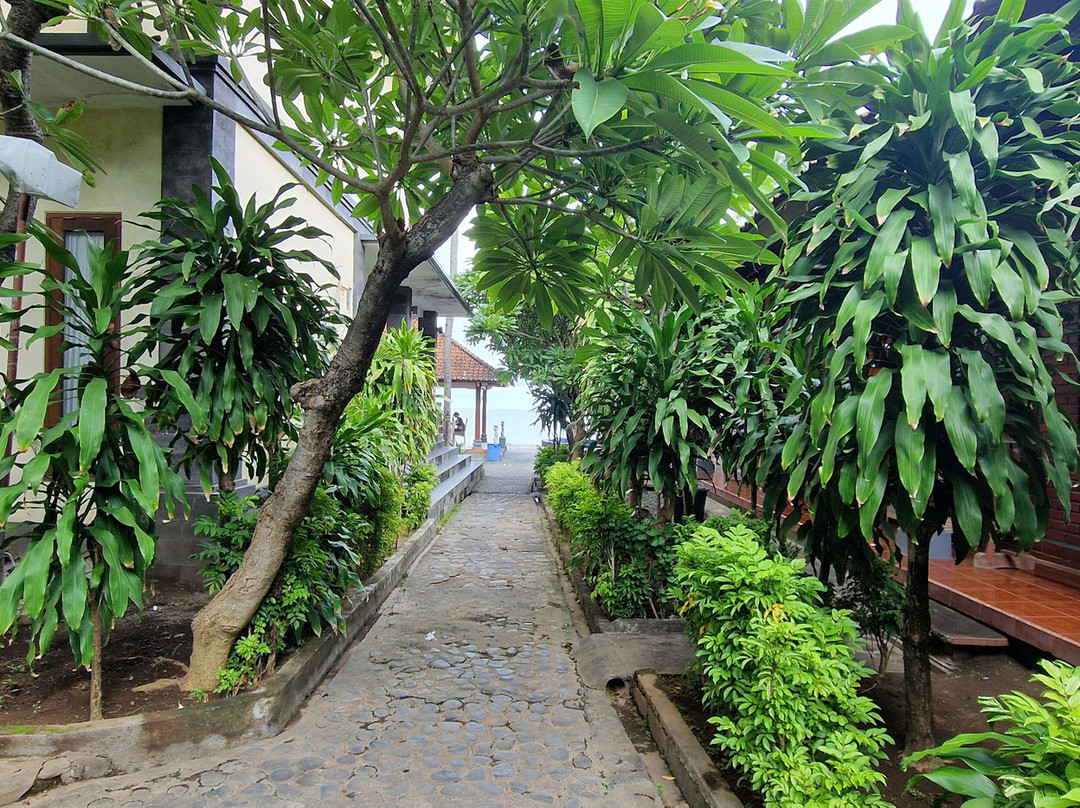 天堂棕榈海滩别墅主图