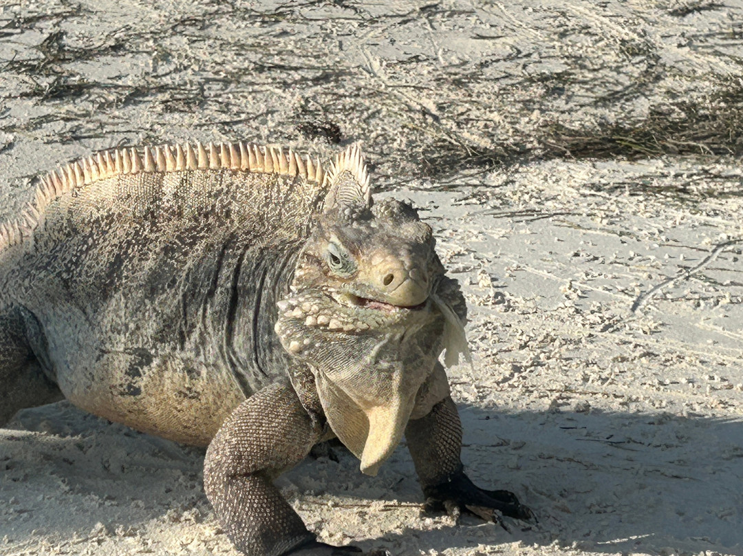 Sanctuary At Grand Memories Cayo Largo主图
