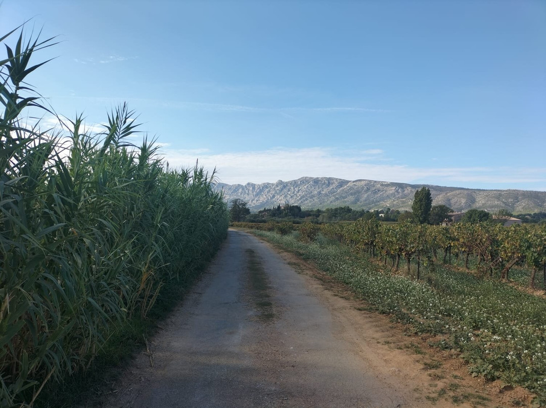 Happy Day In Provence景点图片