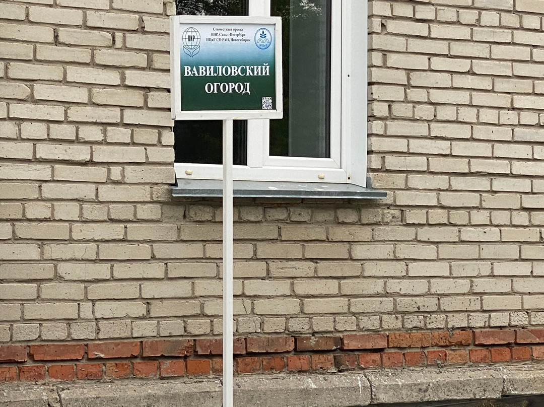 Vavilovsky vegetable garden-Akademgorodok必去景点