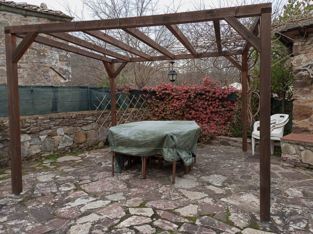 Lionforti da Vico主图