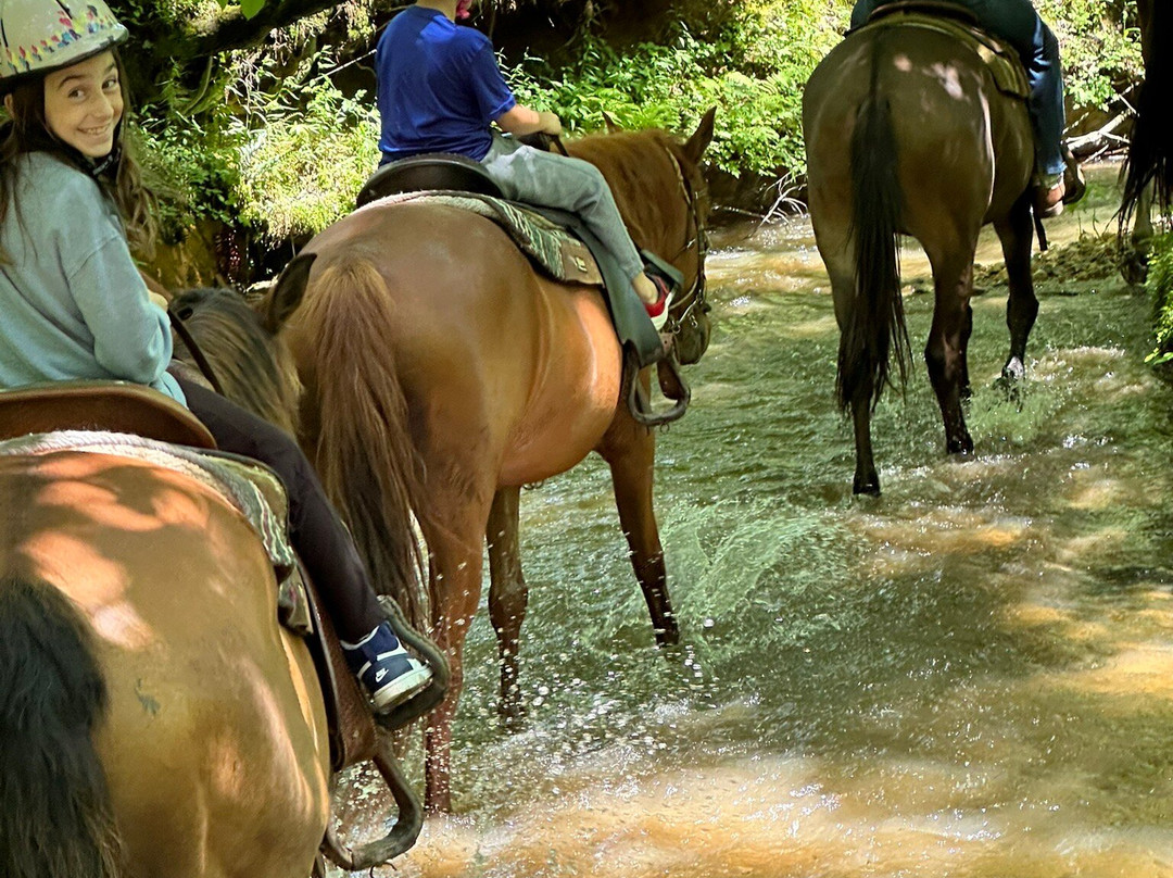 Blue Ridge Mountain Trail Rides At Hells Hollow景点图片