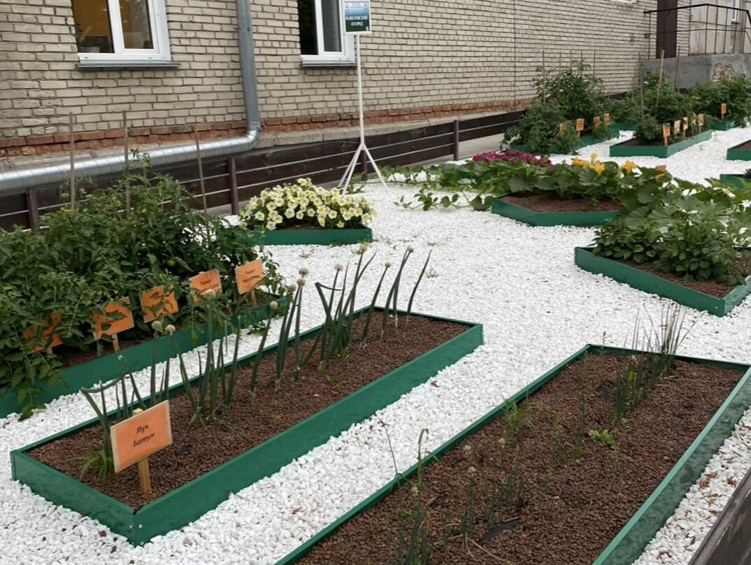 Vavilovsky vegetable garden-Akademgorodok必去景点