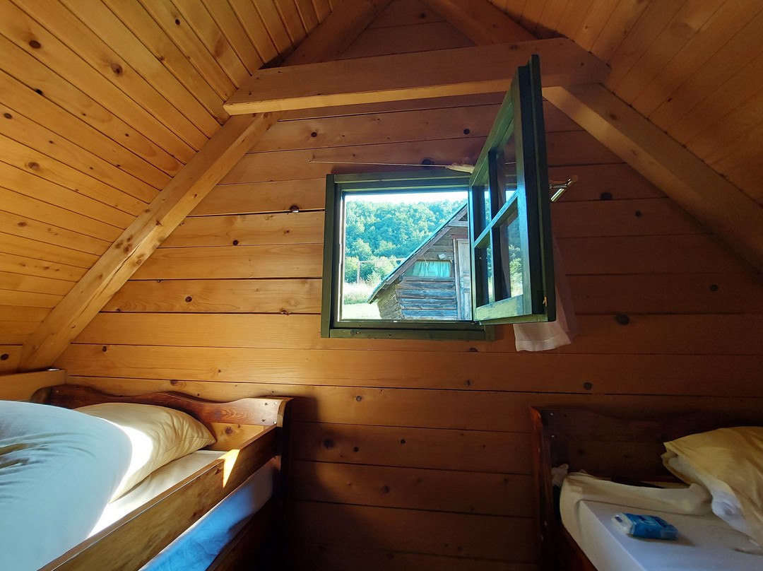 Rafting Camp DMD-Foca必去景点