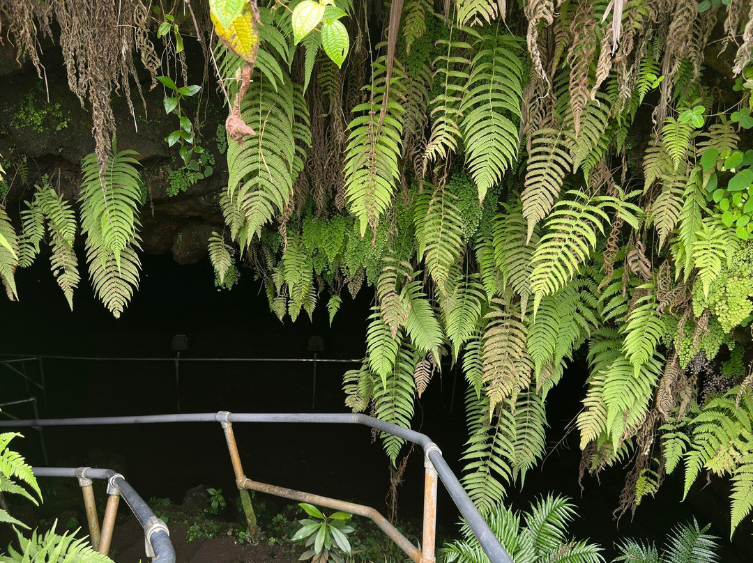 Hana Lava Tubes-海库必去景点
