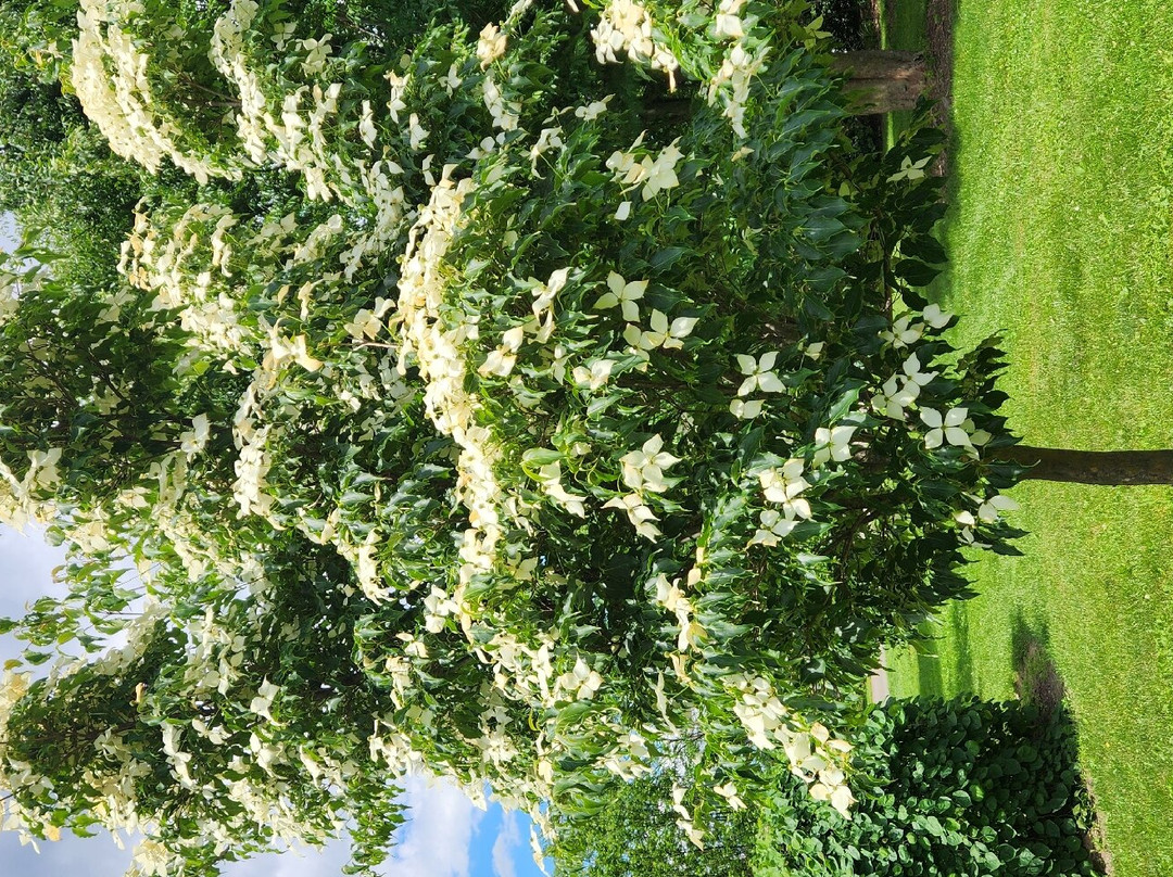 Secrest Arboretum-Wooster必去景点