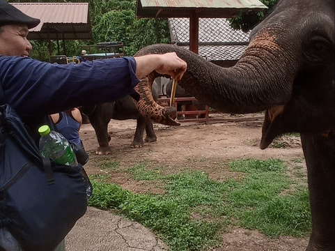 Thai travel no limit Chiang Mai-清迈必去景点