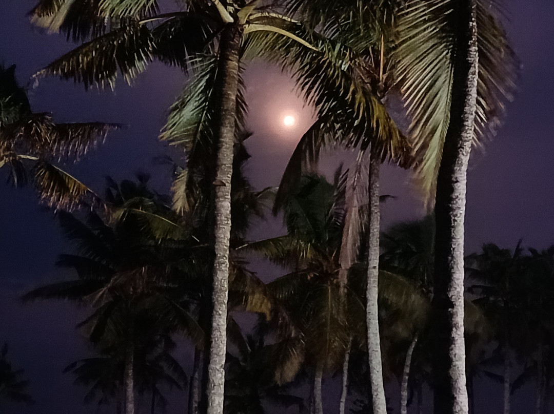 Malika Ayurveda Beach Resort主图