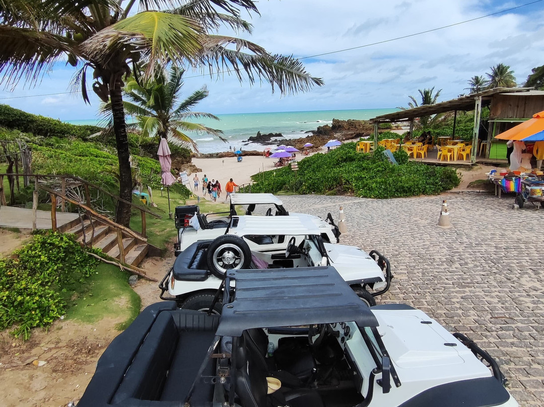 Passeios No Paraiso-Joao Pessoa必去景点