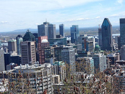 Eagle Adventures & Tours Canada-蒙特利尔必去景点