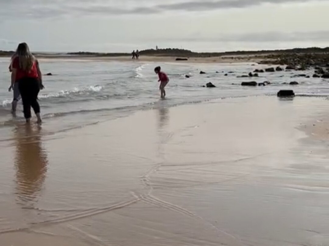 Praia do Farol景点图片
