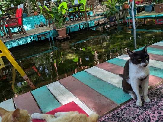 Arikanda River Garden Hotel主图