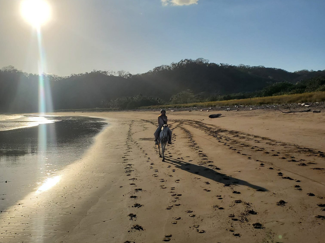 Horse Jungle-萨玛拉滩必去景点