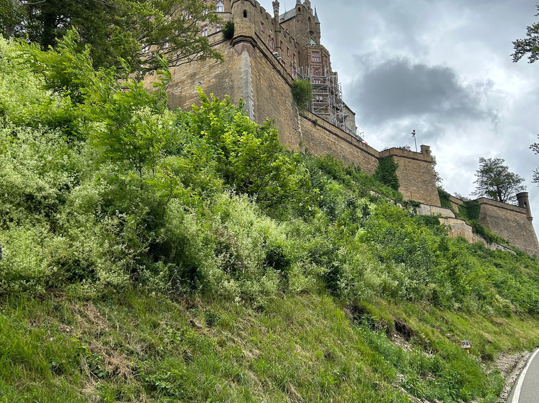 Hohenzollern Castle景点图片