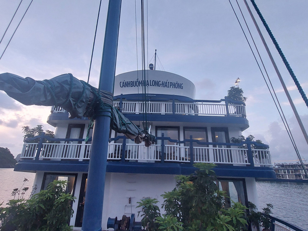 Lotus D'Orient Cruises-团洲岛必去景点