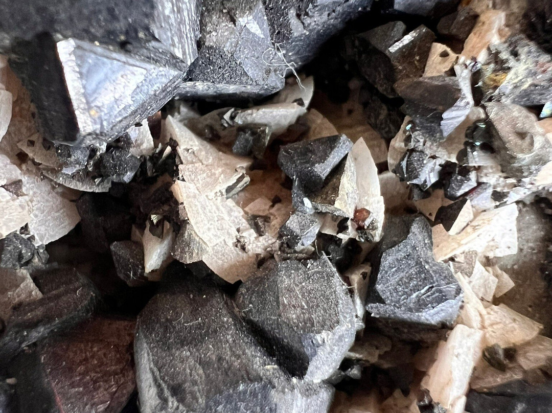 Missouri Institute of Natural Science-斯普林菲尔德必去景点