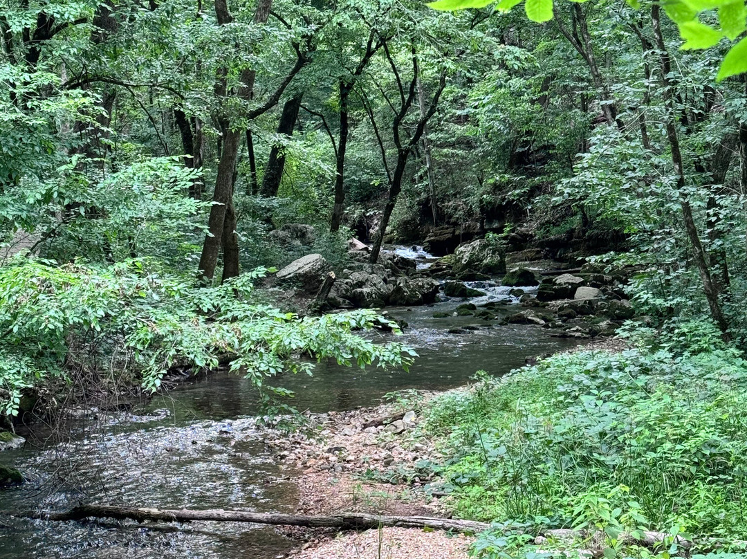 Blanchard Springs Recreation Area景点图片