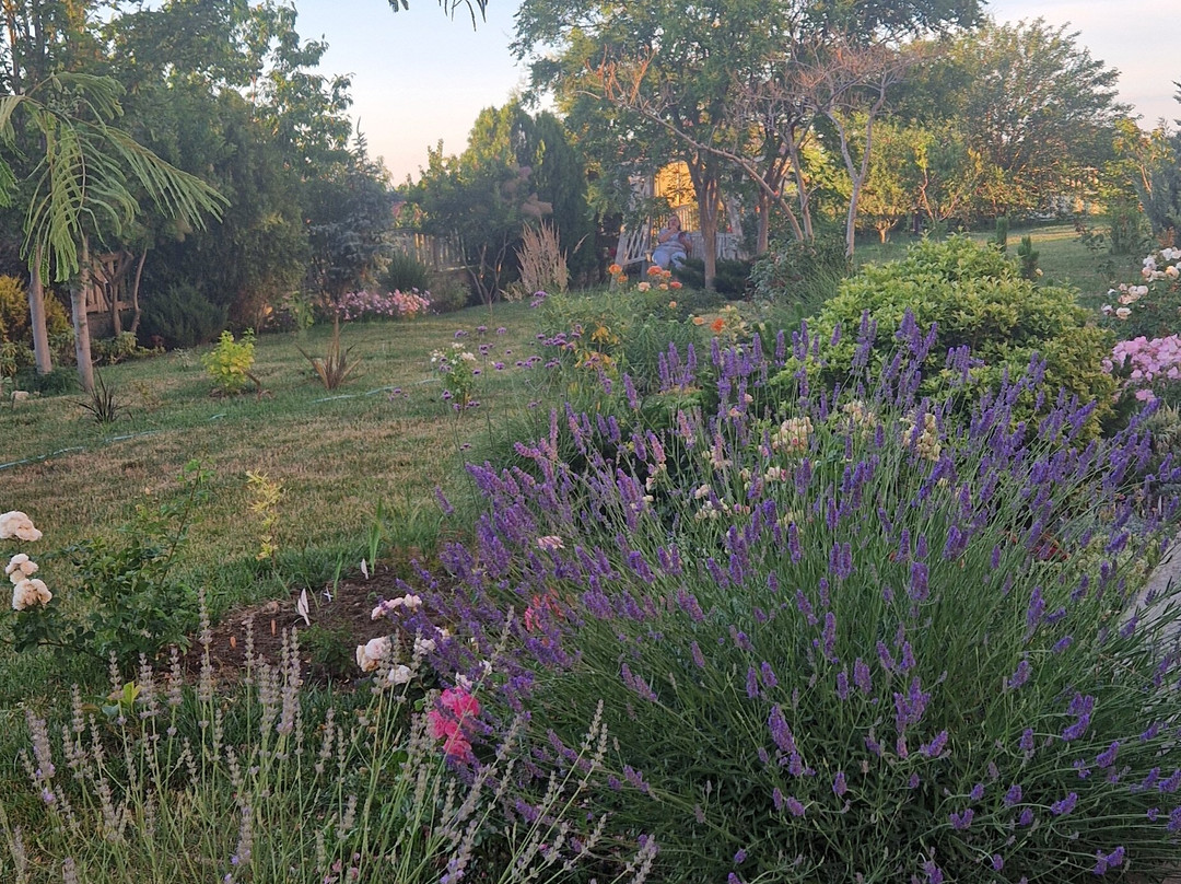 Aleksandria Guest House主图