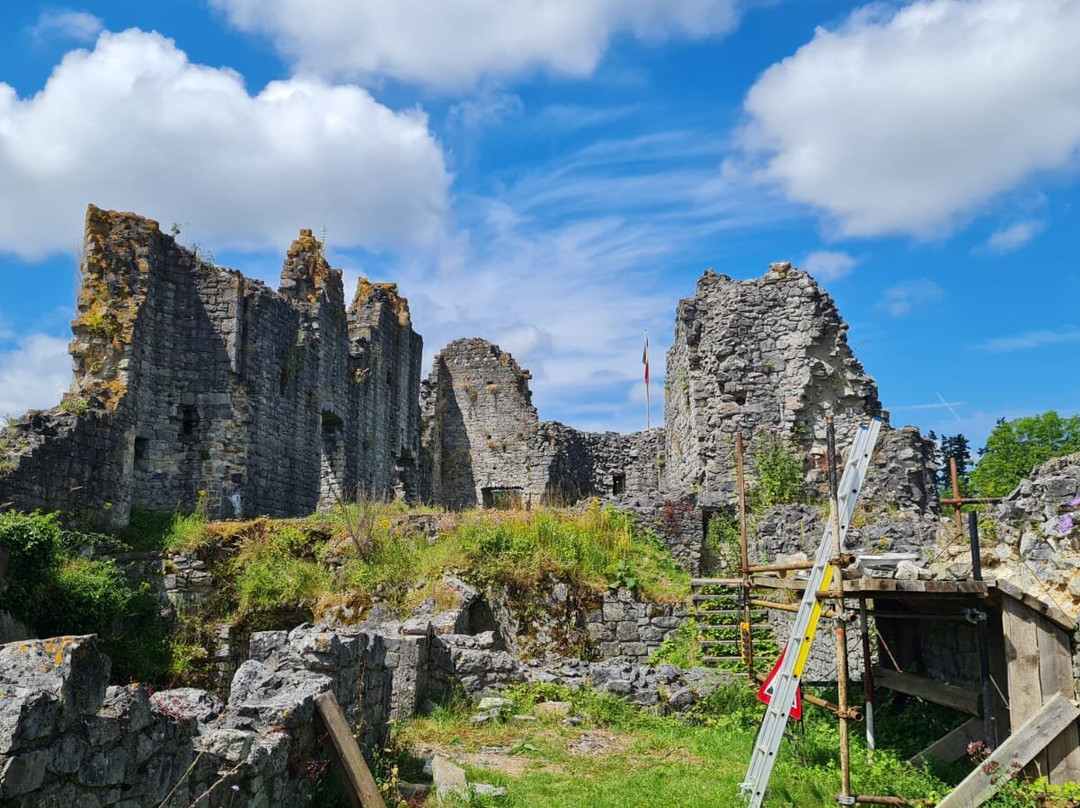 Les ruines du Chateau Fort de Montaigle景点图片