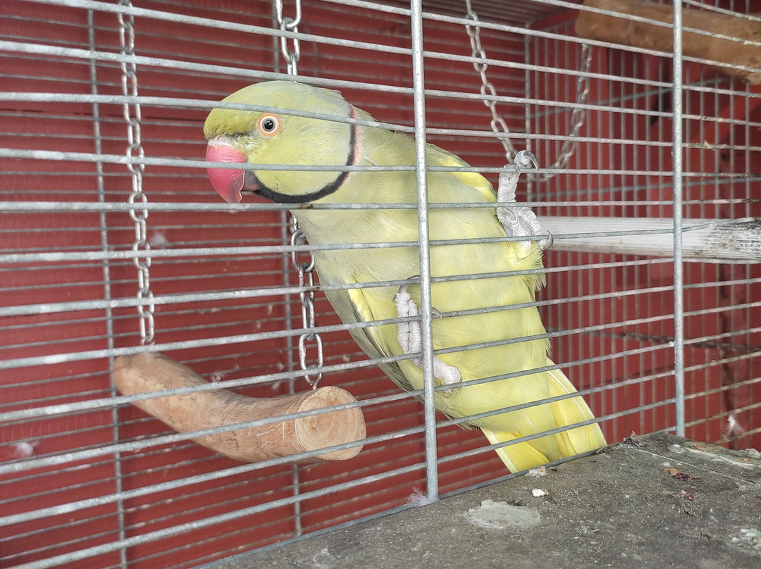 Sole e Sale B&B主图