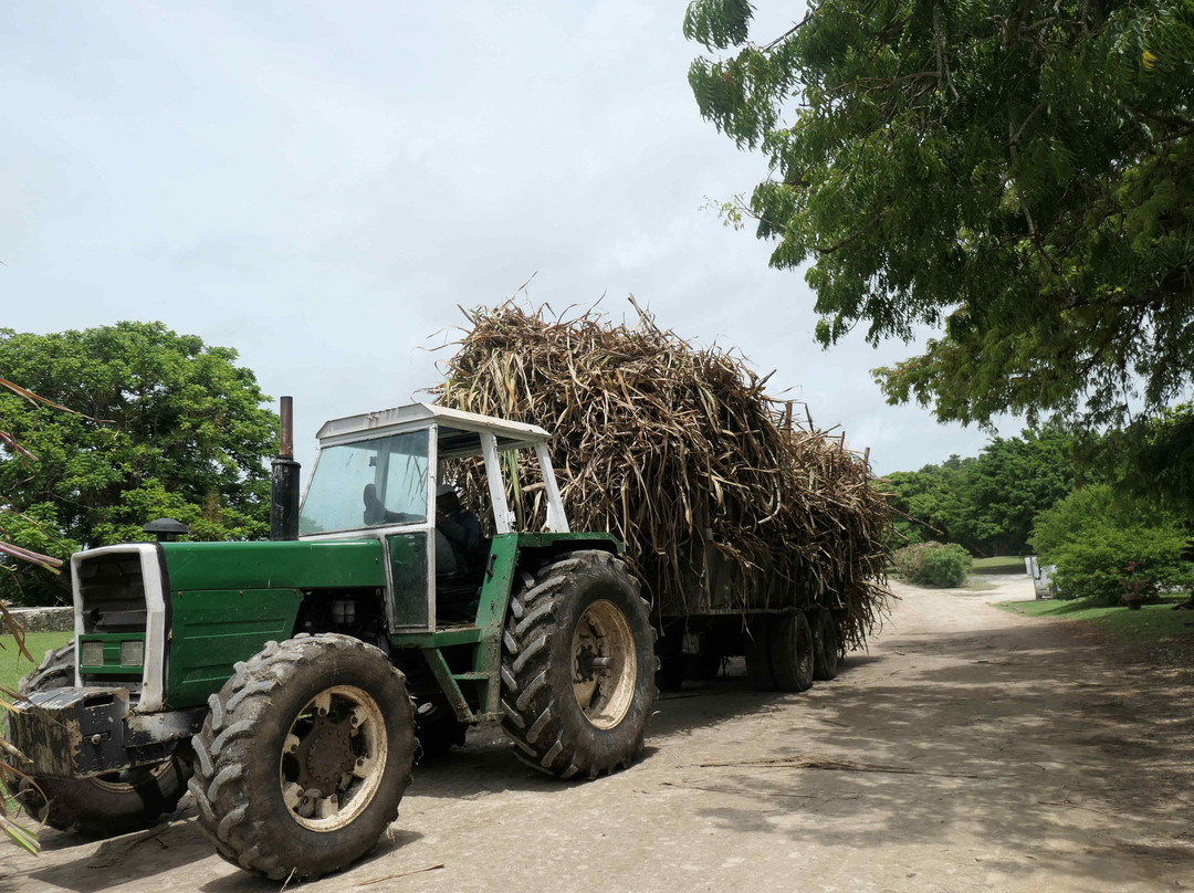 Distillerie Bellevue-Capesterre必去景点