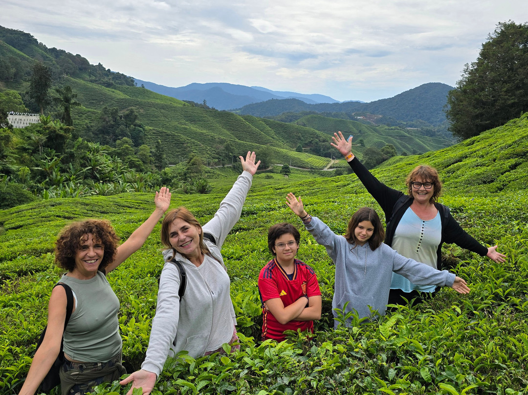 Mossy Cameron Travel & Tours SDN BHD-金马仑高原必去景点