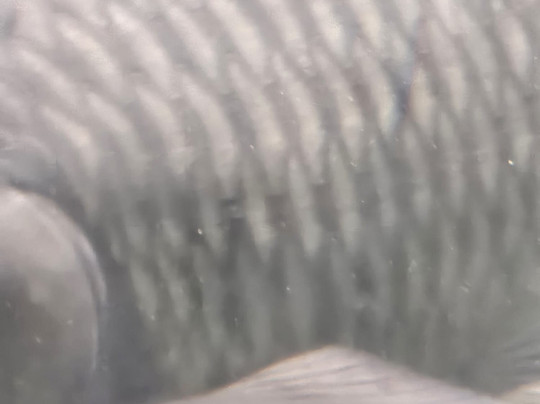 Bush Thorns Adventures and Safaris-内罗毕必去景点