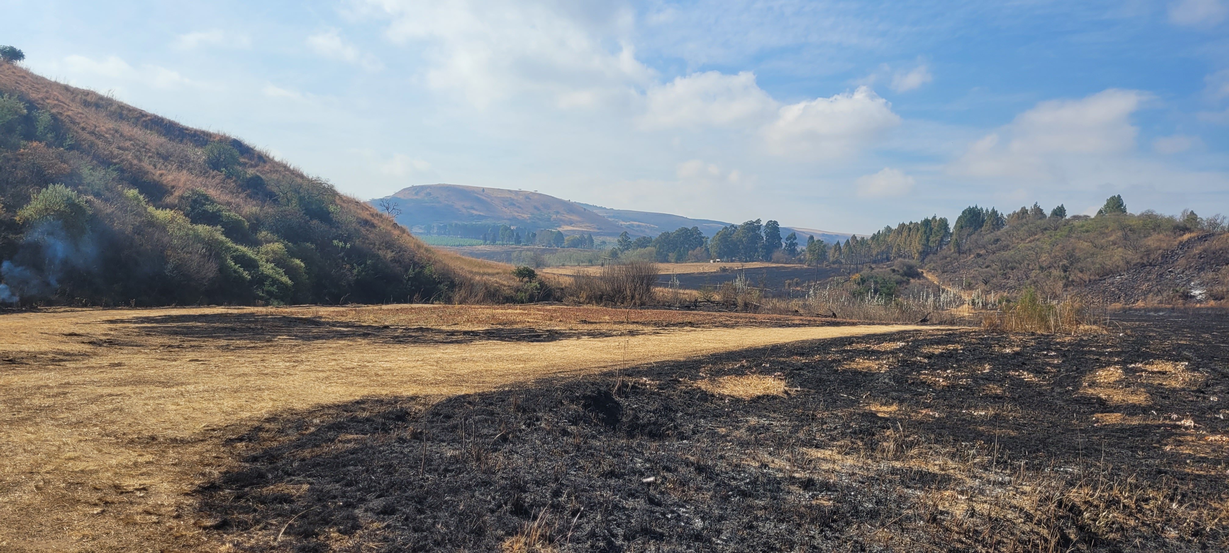 The Nest Drakensberg Hotel-官方