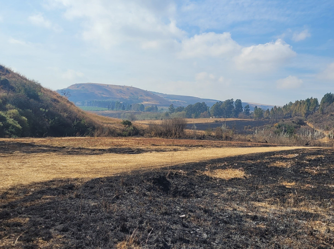 The Nest Drakensberg Hotel主图