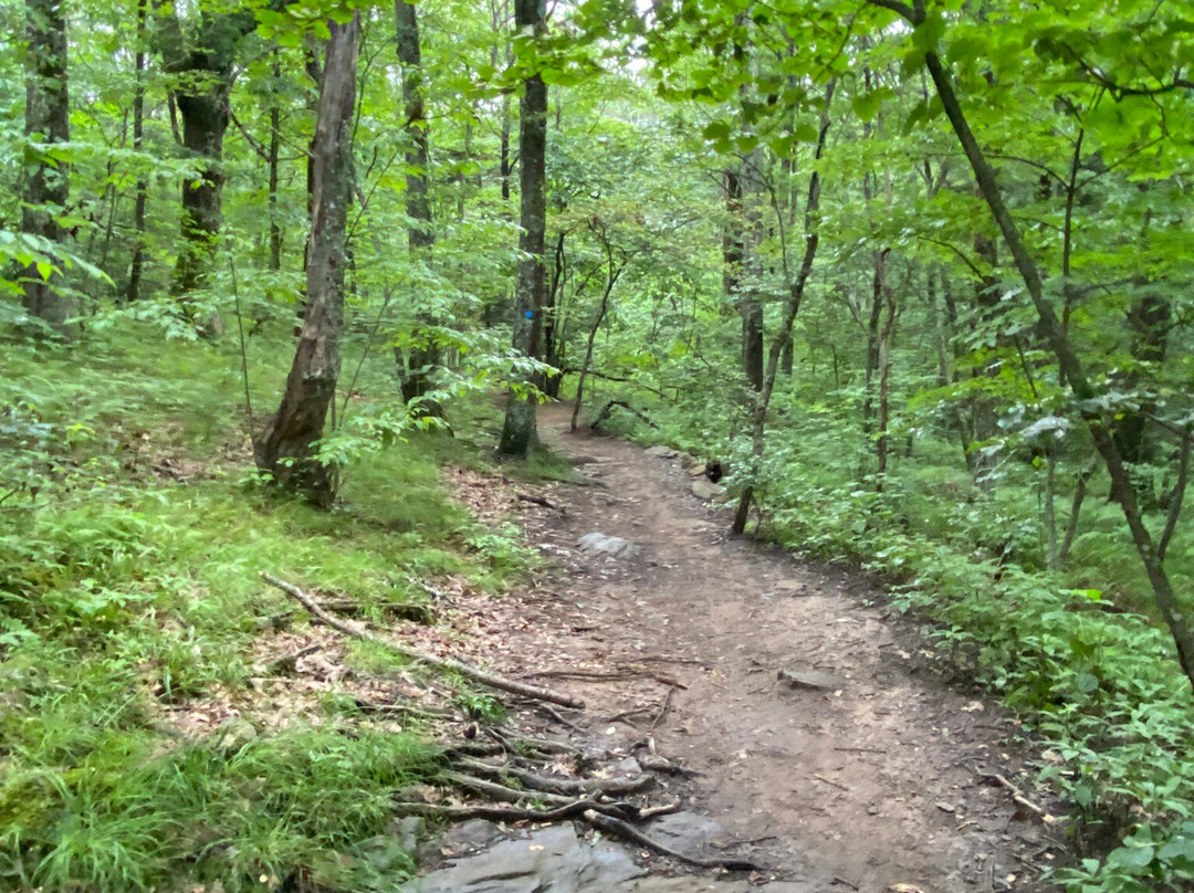 Skinny Dip Falls-Canton必去景点
