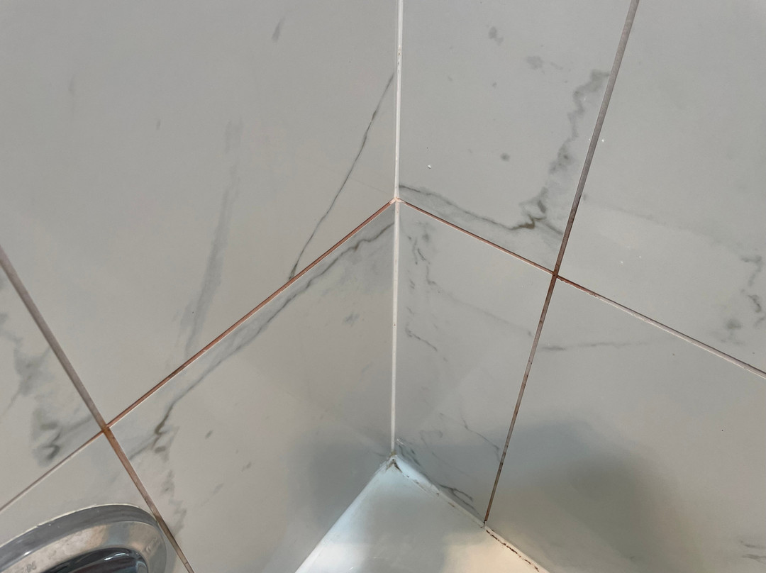 Surf Motel and Gardens主图