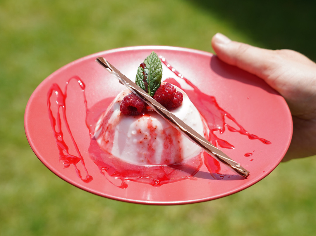 Hotel Bizerta Resort Congres & SPA主图