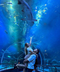 AquaRio景点门票图片