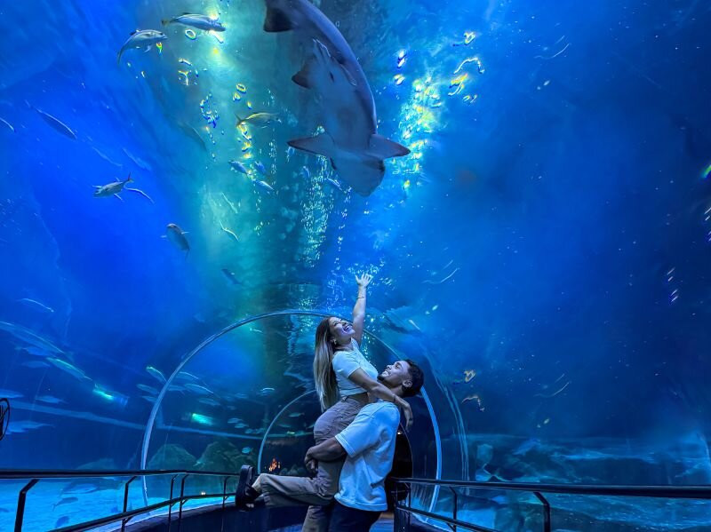 AquaRio-里约热内卢必去景点