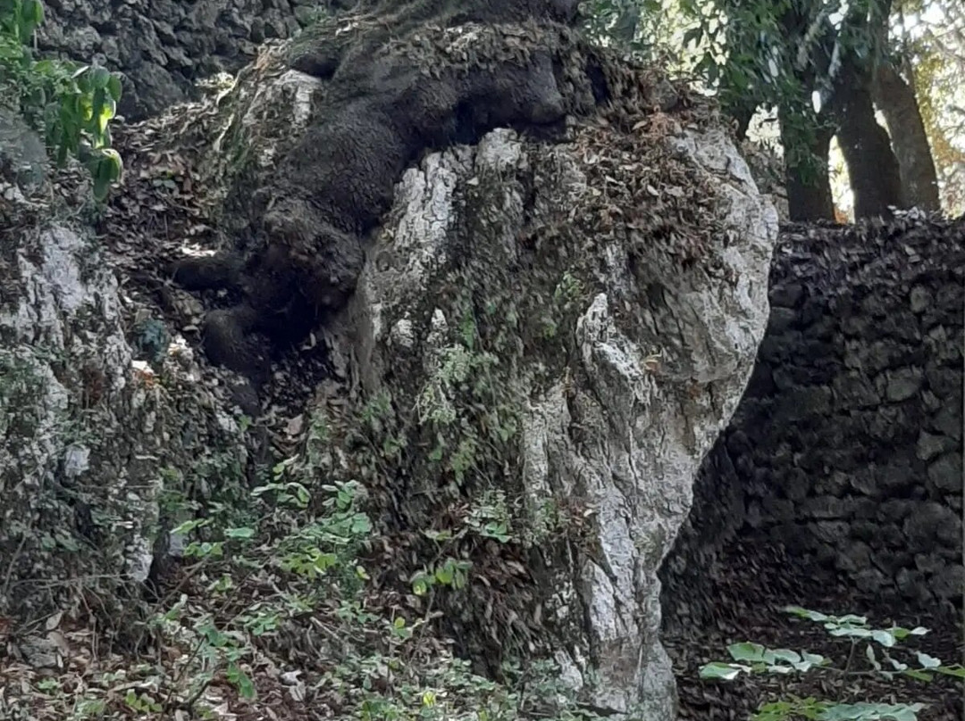 Albergo Paradiso主图