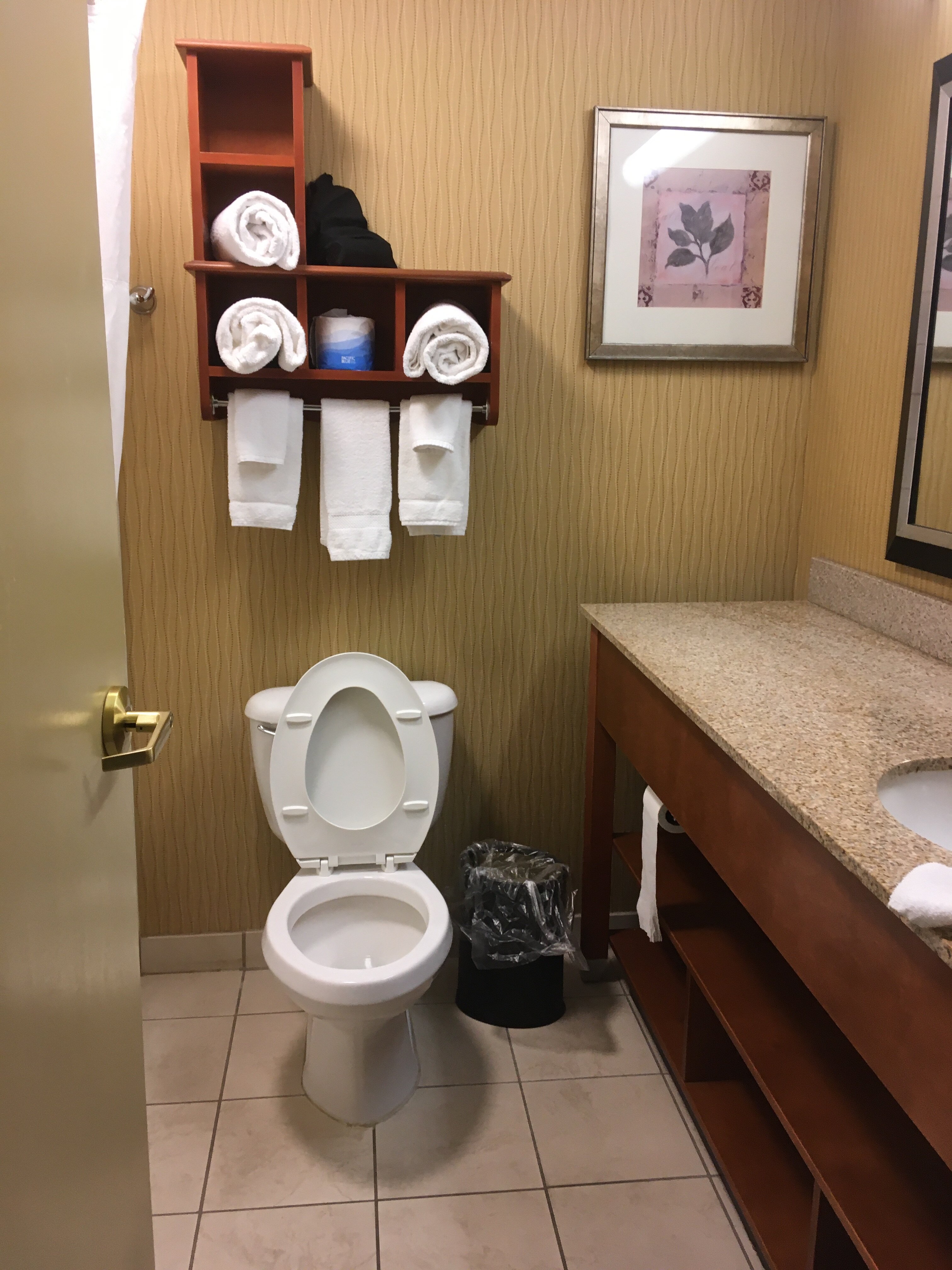 Hampton Inn St. Joseph-浴室