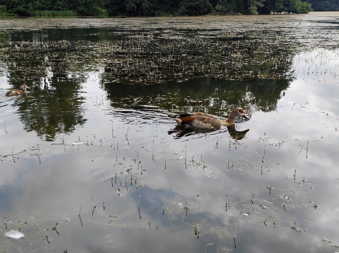 Echternach Lake-埃希特纳赫必去景点