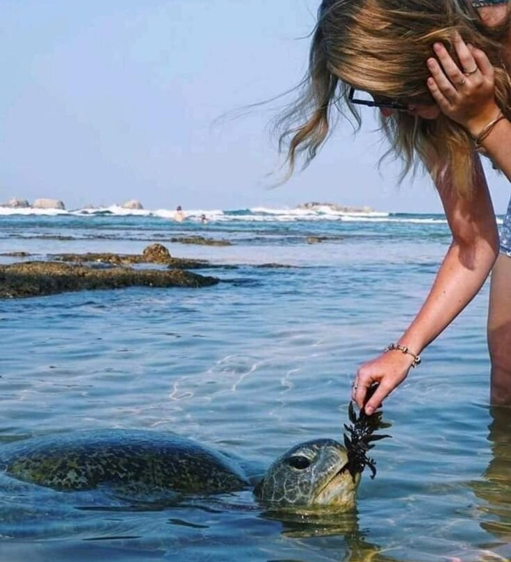 Focus Lanka Travels (PVT) Ltd-卡卢特勒必去景点