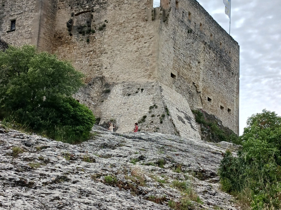 Château Comtal Du Conte De Toulouse景点图片