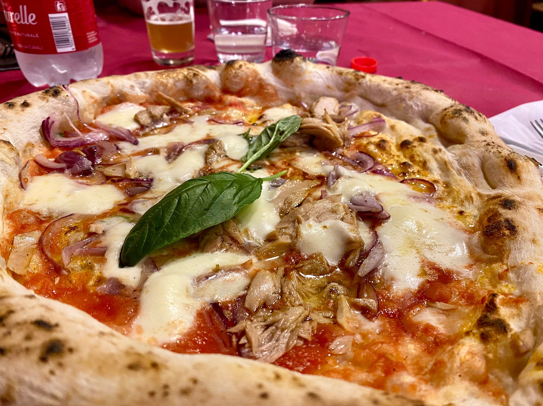 Pizzeria Biga 260