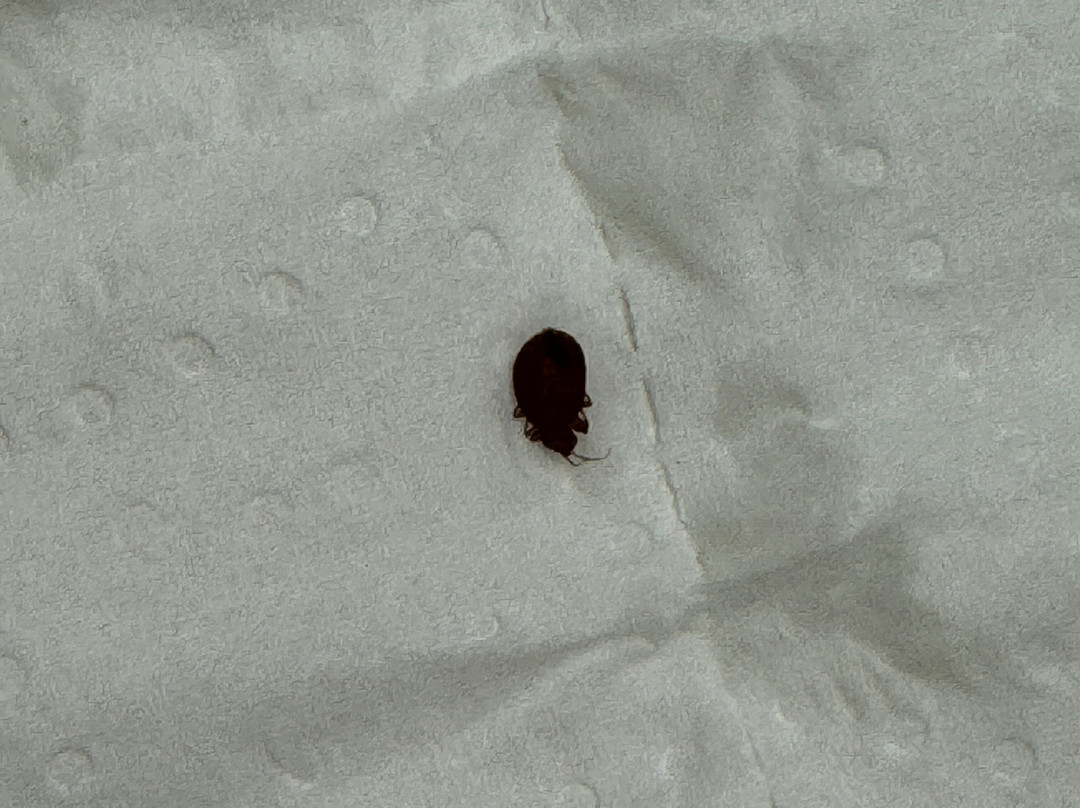 La Quinta Inn & Suites by Wyndham Wichita Northeast主图