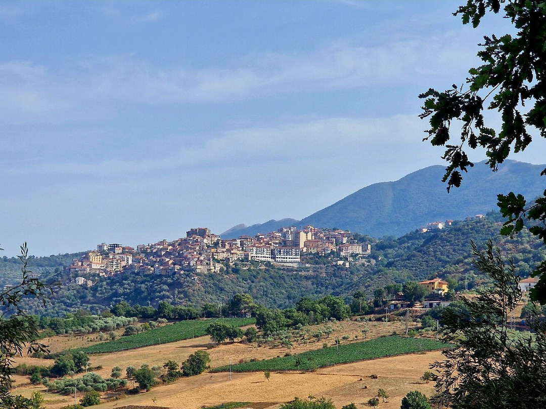 Agriturismo Casale degli Ulivi主图